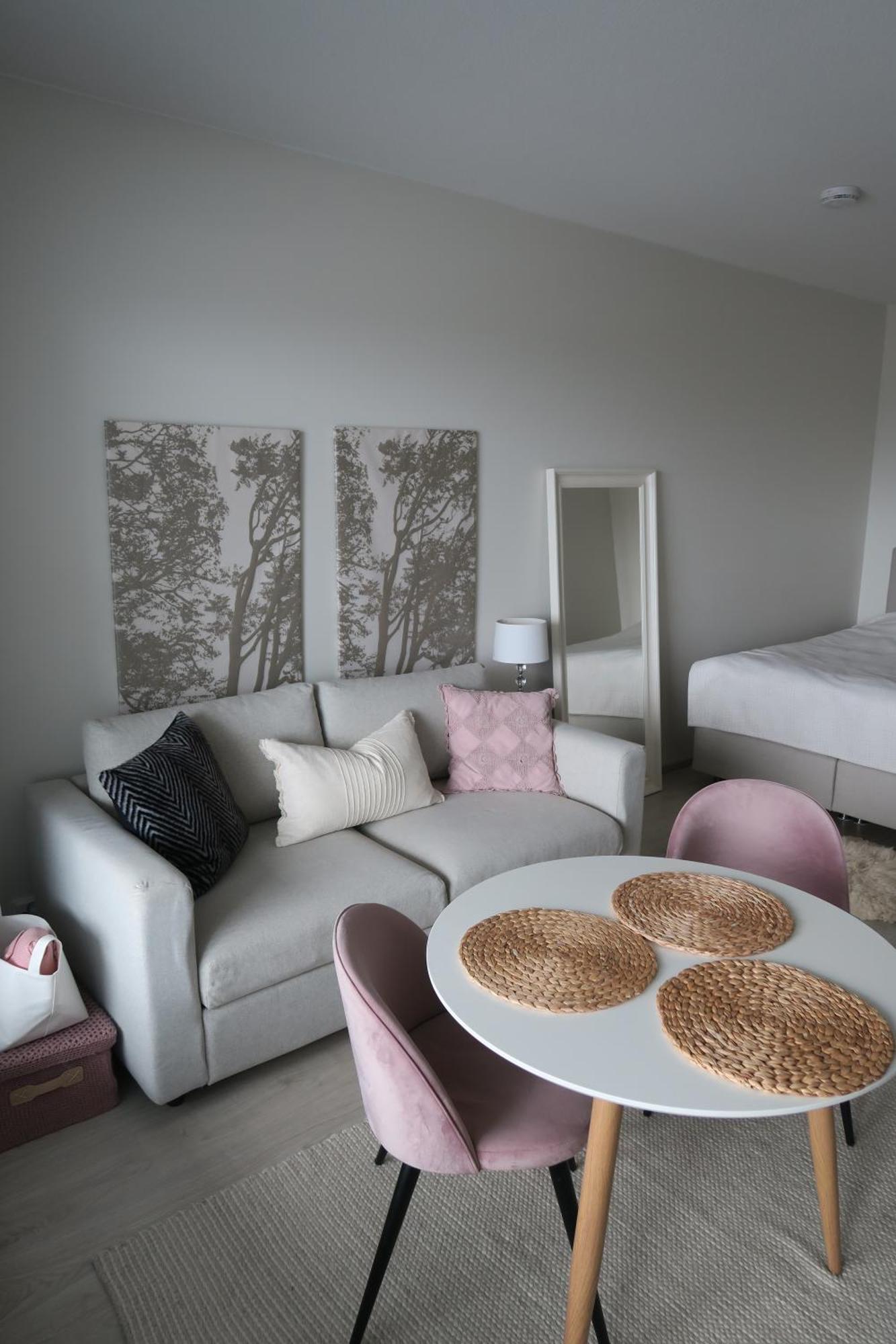 Ihana Yksioe Kangasalan Harjunsalossa Apartment Kangasala